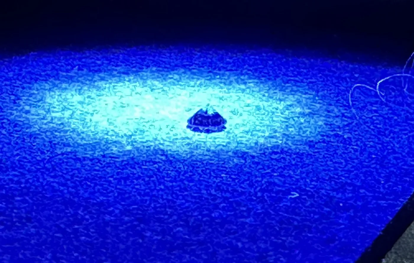 Synthetischer HPHT-Diamant unter langwelligem UV-Licht: Der Stein bleibt dunkel