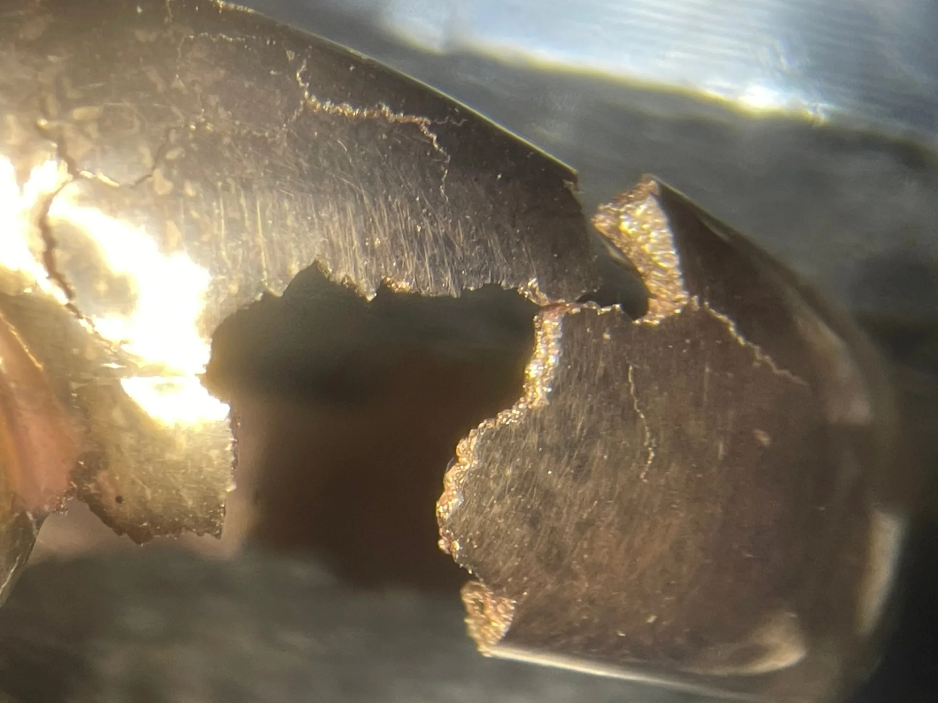 Makroaufnahme der zerbröselten Ringschiene unter dem Mikroskop